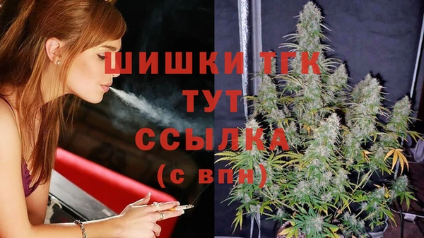 тгк Алзамай