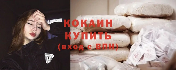 индика Алексеевка