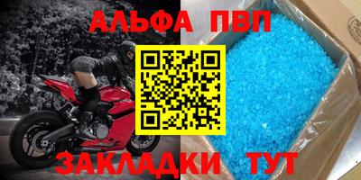 jwh Кингисепп