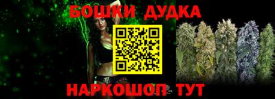 jwh Кингисепп