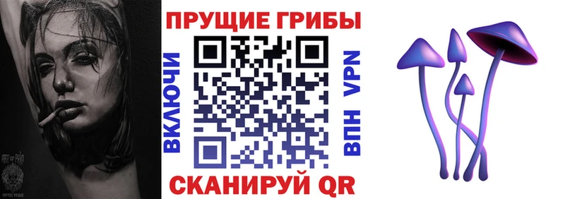 гидра ТОР  Крымск  Псилоцибиновые грибы Psilocybine cubensis 