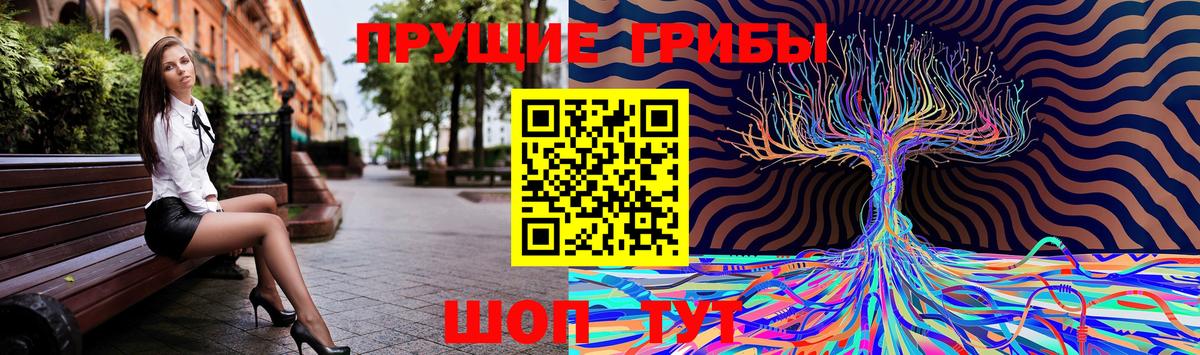 Галлюциногенные грибы прущие грибы Крымск